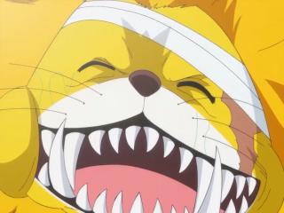One Piece - Episodio 765 - Vamos Ao Encontro do Mestre Nekomamushi!