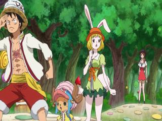One Piece - Episodio 791 - Uma Misteriosa Floresta Cheia de Doces! Luffy x Luffy?!