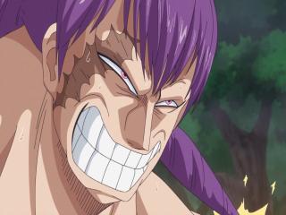 One Piece - Episodio 806 - O Poder da Sociedade! Uma Nova Forma da Quarta Marcha - O Homem-Tanque!