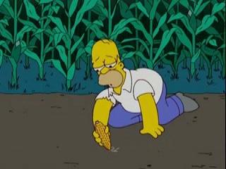 Os Simpsons - Episodio 398 - Pare, Senão o Meu Cachorro Atira!