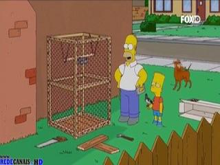 Os Simpsons - Episodio 471 - Corrida De Pássaros