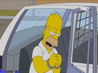 Os Simpsons - Episodio 473 - Donnie Bolasco