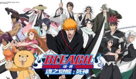 Bleach