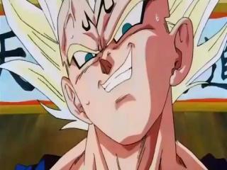 Dragon Ball Z - Episodio 229 - Goku contra Vegeta.