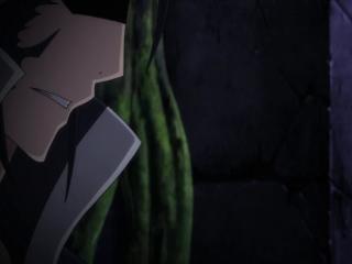 Fairy Tail - Episodio 280 - Avatar
