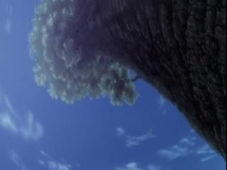 Hunter x Hunter 2011 - Episodio 148 - O que veio x e x O que esta por vir