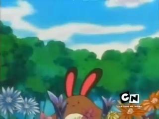 Pokémon - Episodio 255 - Cuspindo Fogo Adoidado!
