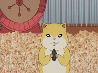 Saiki Kusuo no Psi-nan - Episodio 29 - Revanche! Rifuta Vs Teruhashi - O Hamster Perdido Com Um Dialeto de Kansai - O Animal Em Miniatura Transiente - Massagem Desastrosa