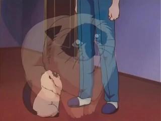 Detective Conan - Episodio 29 - O caso do assassinato de um computador