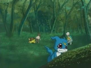 Digimon Adventure 02 - Episodio 31 - Entendendo Um ao Outro Surge Silphymon