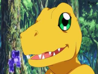 Digimon Universe - Episodio 45 - Um Poderoso Confronto?! Gatchmon VS Agumon!