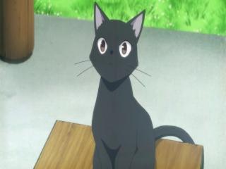 Flying Witch - Episodio 5 - Como Usar Seu Familiar