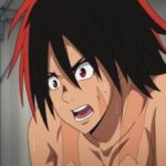 Hinomaruzumou