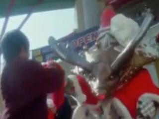 Hyakujuu Sentai Gaoranger - Episodio 41 - A invasão de Org Ninja!