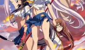 Ikkitousen: Western Wolves