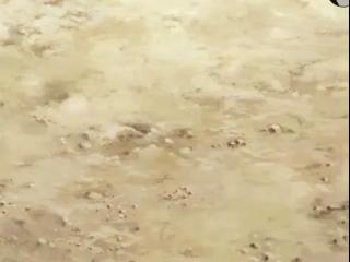 Inazuma Eleven Go: Chrono Stone - Episodio 14 - Infiltração! A Grande Missão dos Dançarinos!
