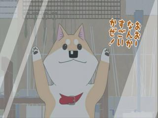 Itoshi no Muco - Episodio 6 - É Verão, Fogos de Artifício, Hie-Pittan!