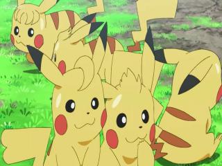 Pokémon A Série: Sol & Lua - Ultra Aventuras - Episodio 48 - Um Montão de  Pikachu! Online - Animezeira