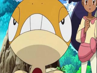 Pokémon Best Wishes! - Episodio 17 - episódio 17