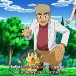 Pokémon Best Wishes! 2 Temporada