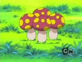 Pokémon: Geração Avançada - Episodio 26 - O Encontro com os Nuzleaf’s!