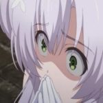 Todos Episodios de Rokudenashi Majutsu Koushi To Akashic Records Online -  Animezeira