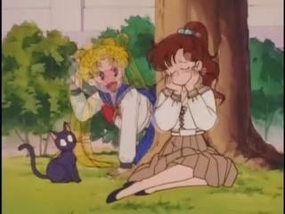 Sailor Moon - Episodio 29 - Um estranho triângulo amoroso. Ou será um quadrado?
