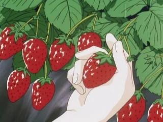 Sakura Card Captors - Episodio 38 - A divertida colheita de morangos
