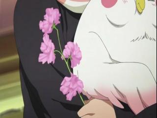 Tamako Market - Episodio 3 - episódio 3