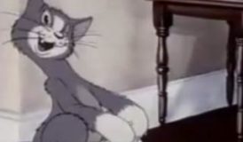 Tom e Jerry - Episodio 8 - Gato Travesso