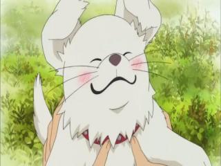 Kimi Ni Todoke - Episodio 17 - Feriado