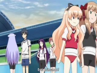 Mayoi Neko Overrun - Episodio 12 - Gato de rua decidiu