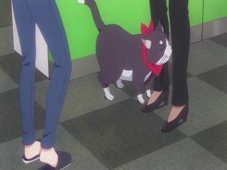 New Game! - Episodio 19 - Estou Sentindo Uma Aura de Ódio...