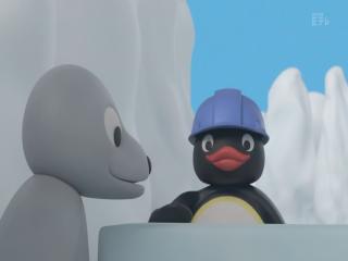 Pingu in The City - Episodio 11 - Construa Um Iglu!