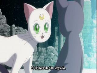Sailor Moon Crystal - Episodio 14 - O Fim e O Começo