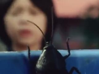 Taiyou Sentai Sun Vulcan - Episodio 35 - Amigos! La Cucaracha