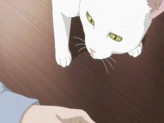 Housekishou Richard-shi no Nazo Kantei - Episódio 3 - Visão do Olho de Gato