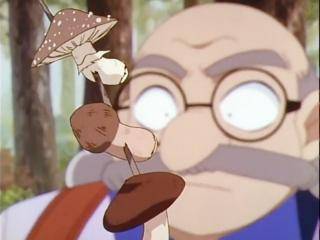 Detective Conan - Episódio 213 - Cogumelos, Ursos e os Jovens Detetives! (Parte 2)