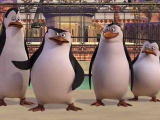 The Penguins of Madagascar - Episódio 11 - Enrolados na rede