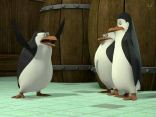 The Penguins of Madagascar - Episódio 32 - A Máscara do Guaxinim