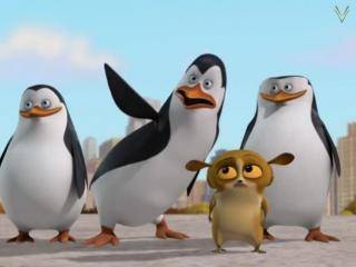 The Penguins of Madagascar - Episódio 36 - Operação Picada