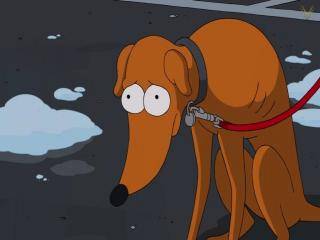 Os Simpsons - Episódio 684 - O Caminho do Cão